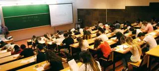 Cuatro alumnos de la UMH de Elche presentan los primeros TFG interdisciplinares