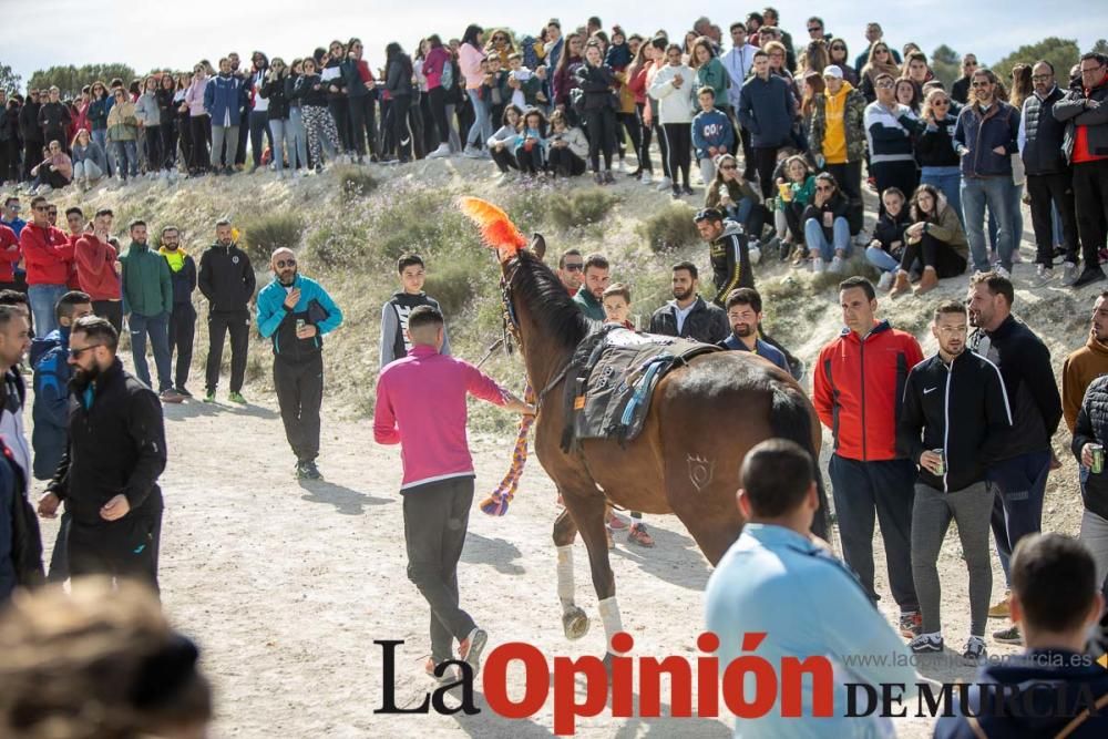 Carrera de entrenamiento de los Caballos del Vino