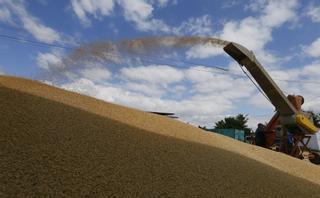 Ucrania intenta poner en marcha el pacto con Rusia para exportar cereales