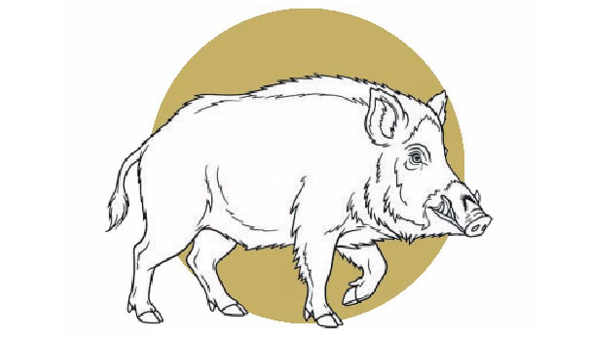 Una gestió transparent