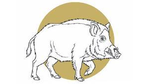 Una gestió transparent