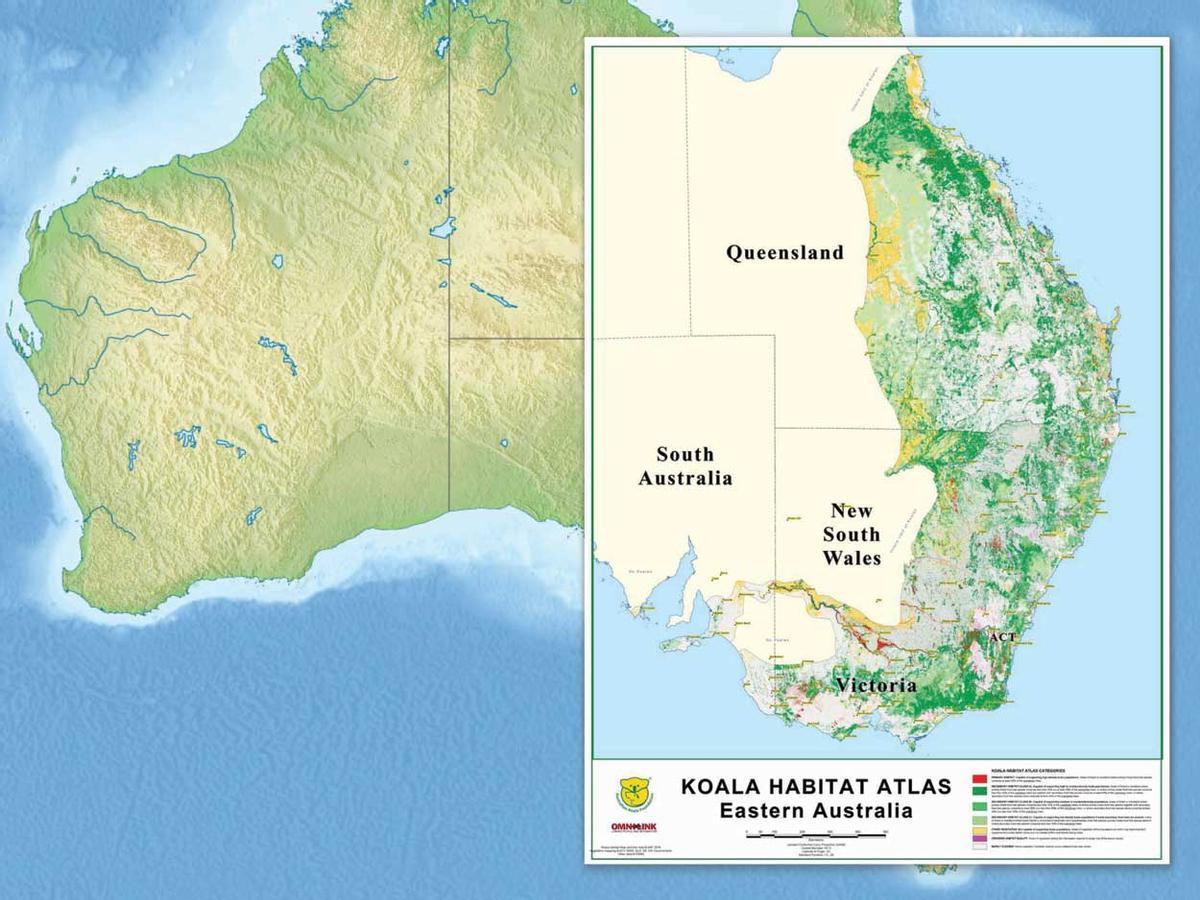 Hábitat del koala en Australia