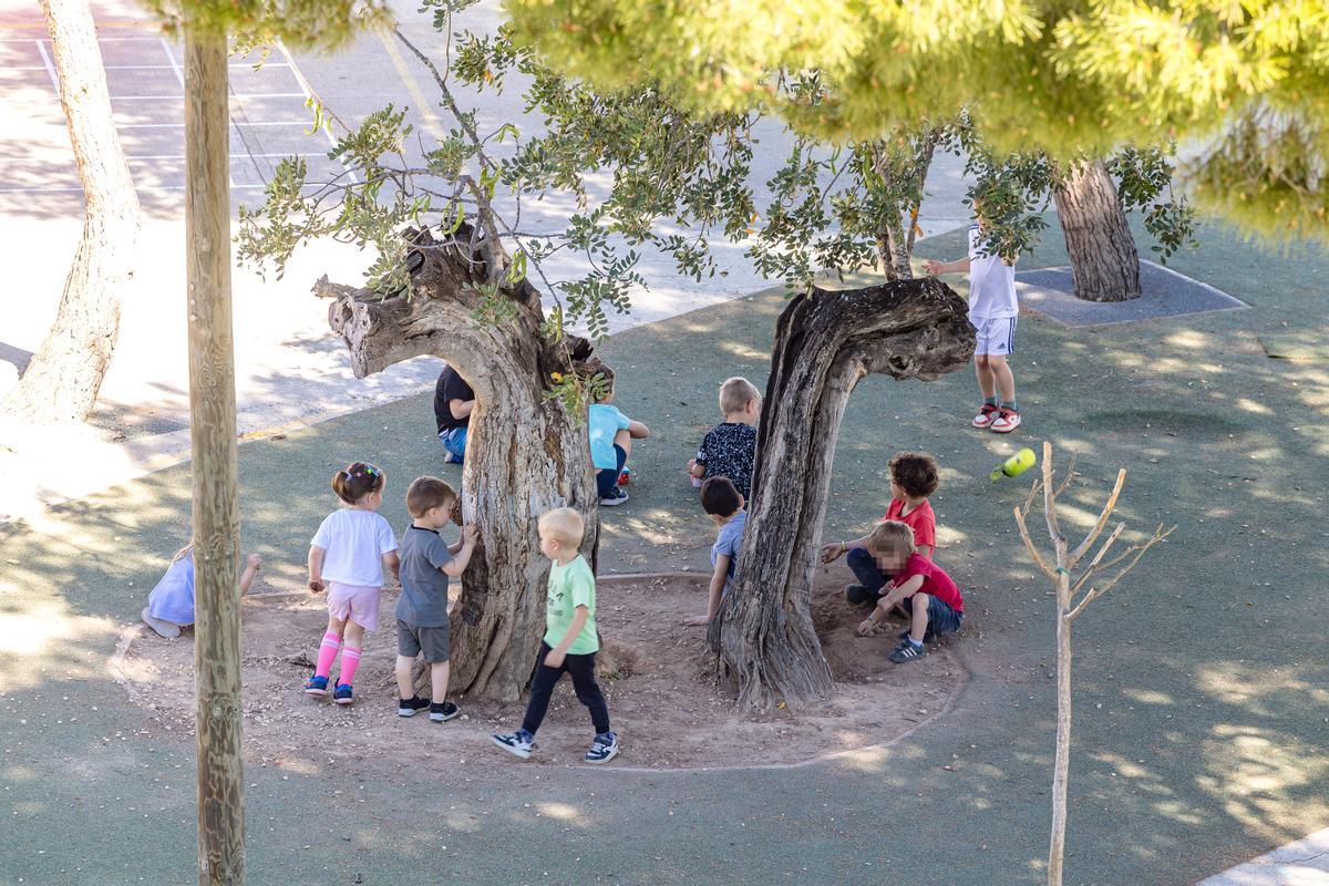 Un grupo de niños de Infantil, en el patio de un colegio de l'Alfàs, donde la ratio está reducida a un máximo de 20 niños por aula.