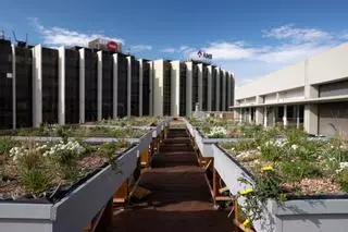 Un proyecto piloto naturaliza las cubiertas de edificios de Barcelona reaprovechando residuos orgánicos