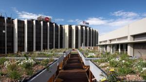 Cubierta de la Zona Franca naturalizada por el AMB en su proyecto piloto.