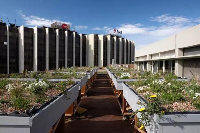 Un proyecto piloto naturaliza las cubiertas de edificios de Barcelona reaprovechando residuos orgánicos