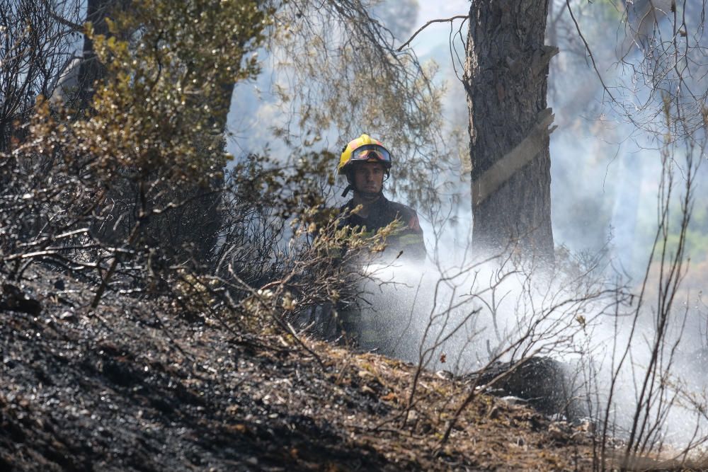 El fuego se inició a última hora de ayer miércoles y ha estado activo toda la noche.