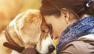 Perros protectores para las víctimas de violencia de género