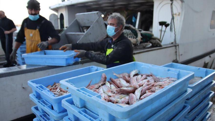 La pesca de Castellón resiste al covid y mantiene el volumen de capturas