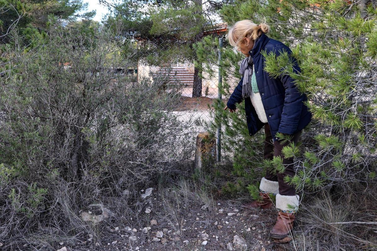 Uno de los mojones que todavía quedan y que indican por donde pasa la vía pecuaria que está invadida hasta por 54 construcciones