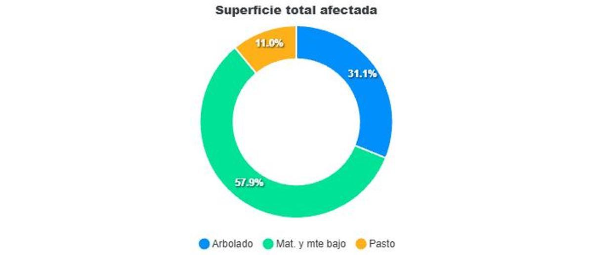 Superficies afectadas por los incendios forestales en Zamora entre el 1 de enero y el 18 de agosto de 2026