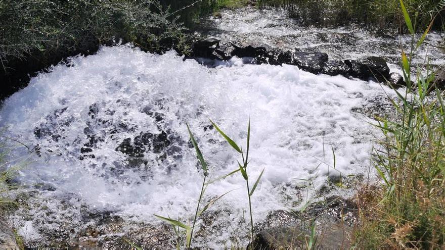 Poza de la Vega Alta del Segura de donde se &#039;pincharía&#039; para poner en marcha los dos pozos de sequía solicitados para regar en la cuenca.