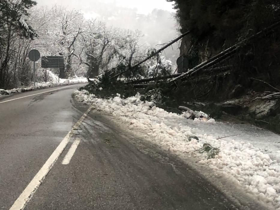 Gran nevada en Villarín, en Somiedo