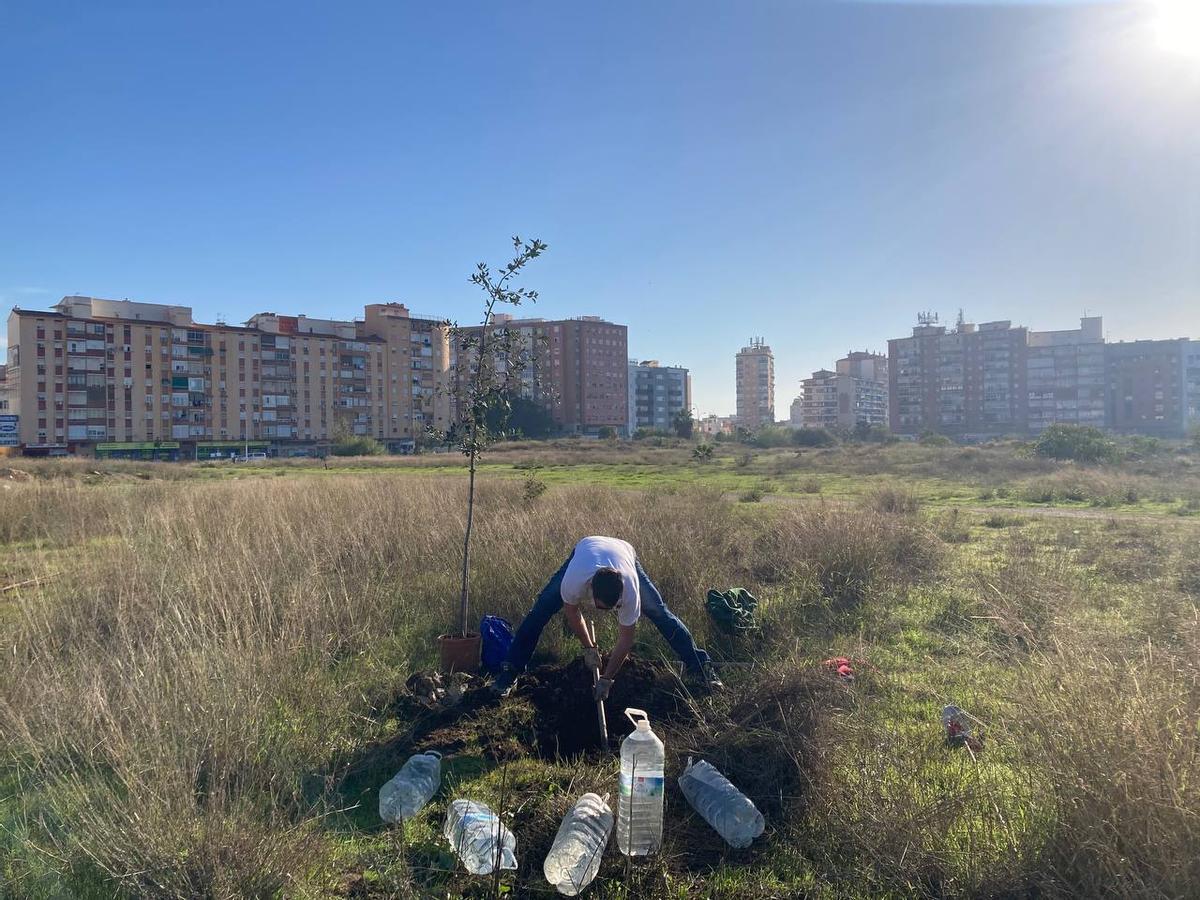 Bosque Urbano planta árboles en los antiguos terrenos de Repsol