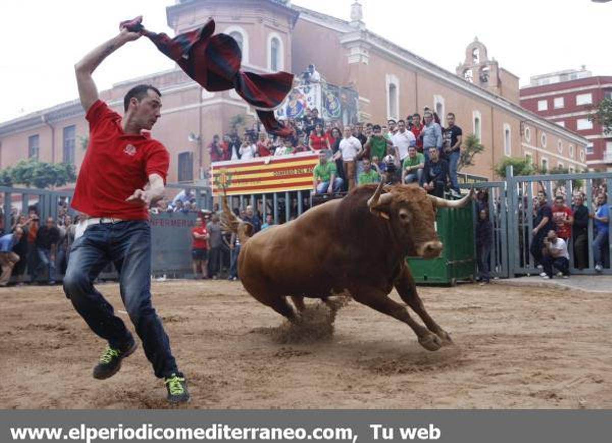 GALERÍA DE FOTOS - Fiestas de San Pascual bou al carrer