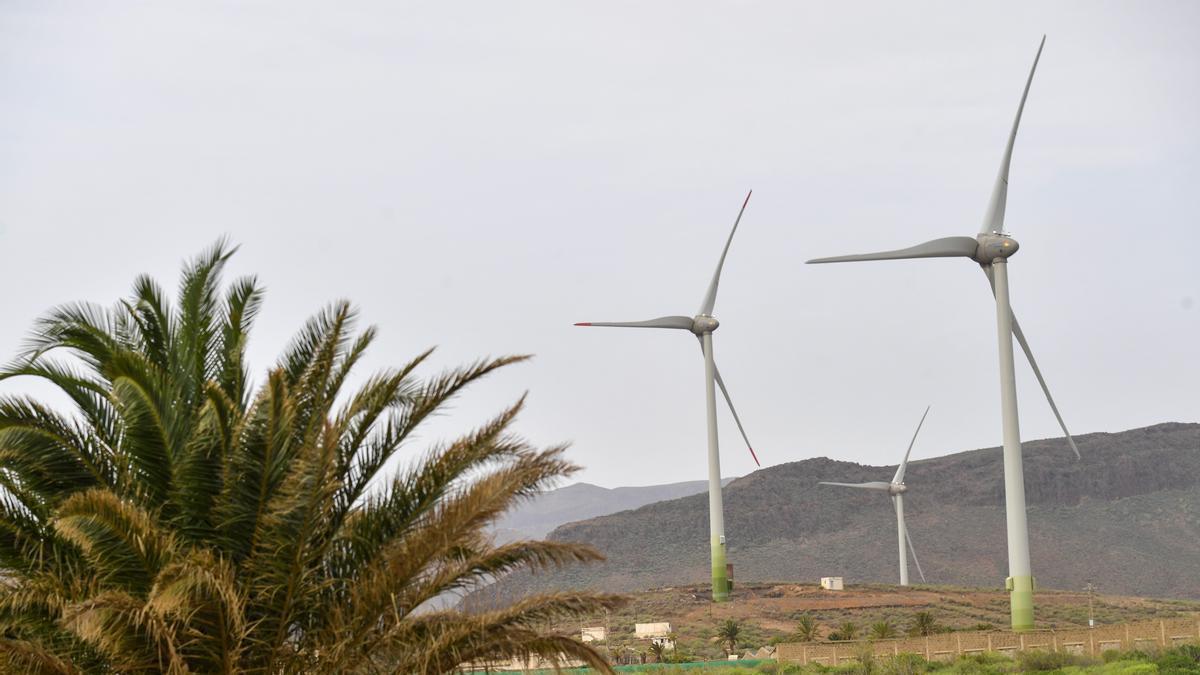 Aerogeneradores en el Sureste de Gran Canaria.