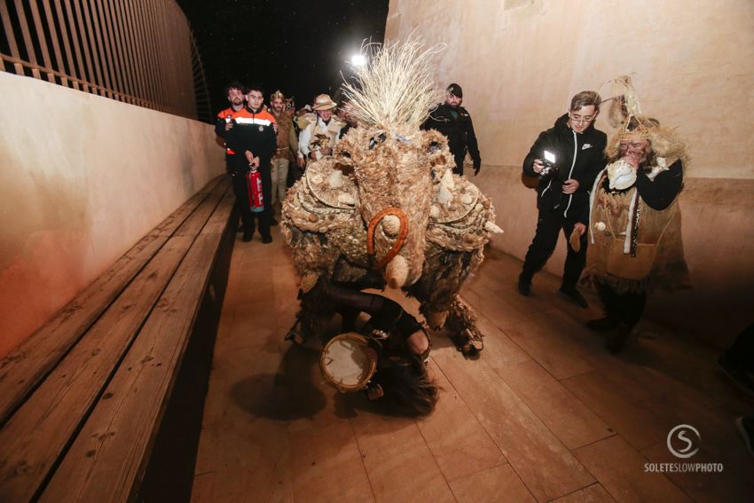 Suelta de la Mussona en el Carnaval de Águilas