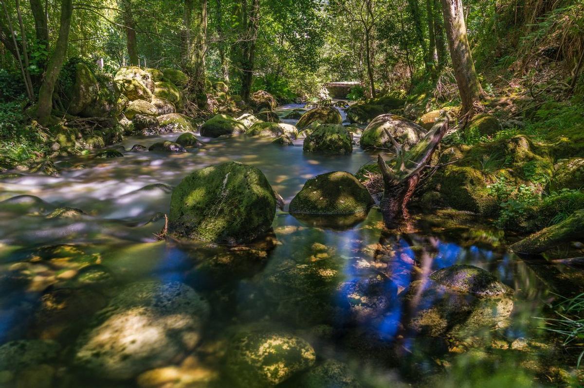 Paisaje natural en Entre Os Ríos, A Pobra do Caramiñal