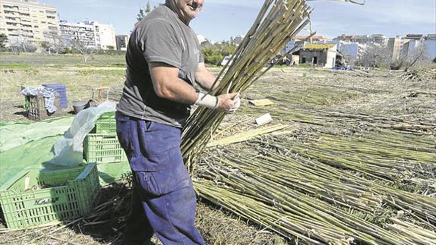 Así serán las cañas de la Romeria