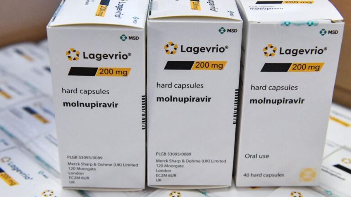 Así es Lagevrio (Molnupiravir): la primera pastilla contra el coronavirus, aún no autorizada pero recomendada