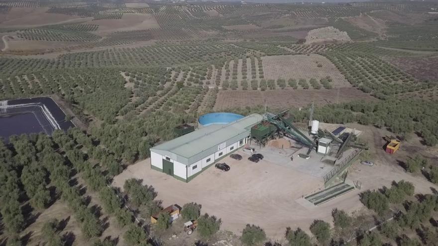 Vista aérea de las instalaciones de Monteoliva Cordobesa.