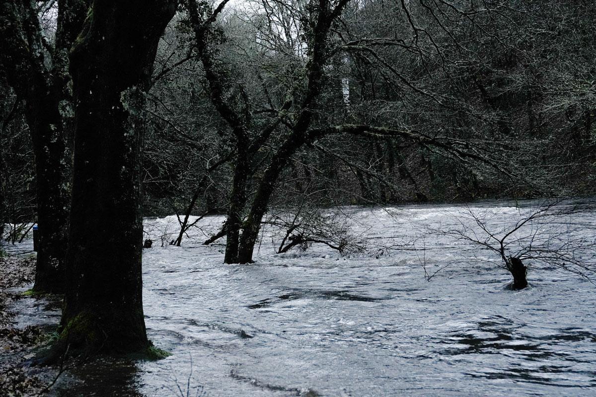 Las aguas 'ahogan' el terreno en Campo Lameiro, en Pontevedra.