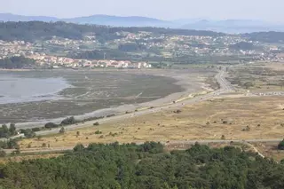 O Grove se convierte en epicentro gallego para la migración otoñal de miles de aves