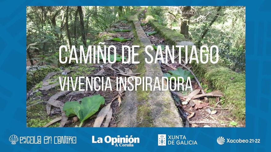 Todos os camiños levan a Santiago