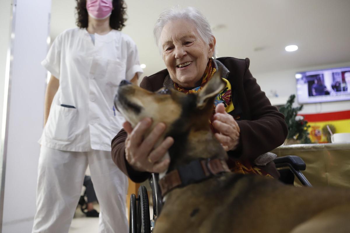 Frida, la perra de terapia asistida en una residencia de Zaragoza