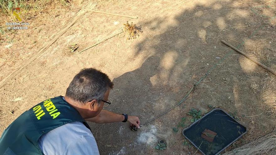 Enxampen un home capturant caderneres de forma il·legal a Santa Llogaia d’Àlguema