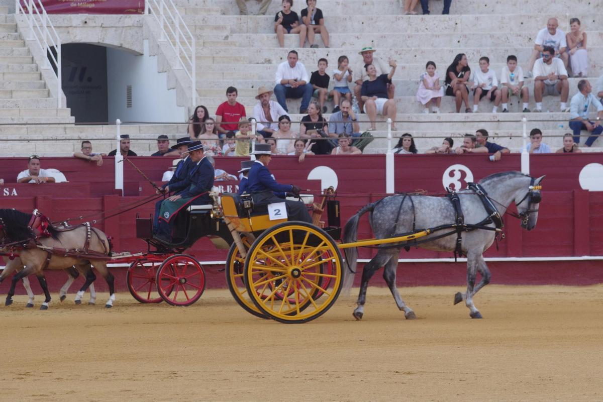 Fotos del concurso de exhibición de Enganches de Caballos Ciudad de Málaga 2026
