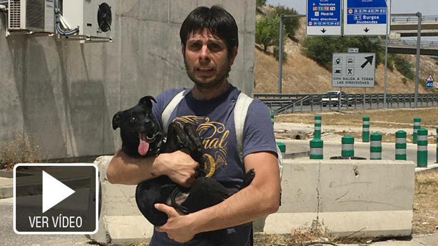 La perra desaparecida en el aeropuerto de Barajas ya está en casa