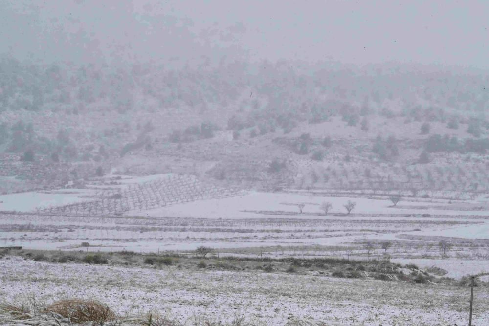 Nieve en Coy, Lorca