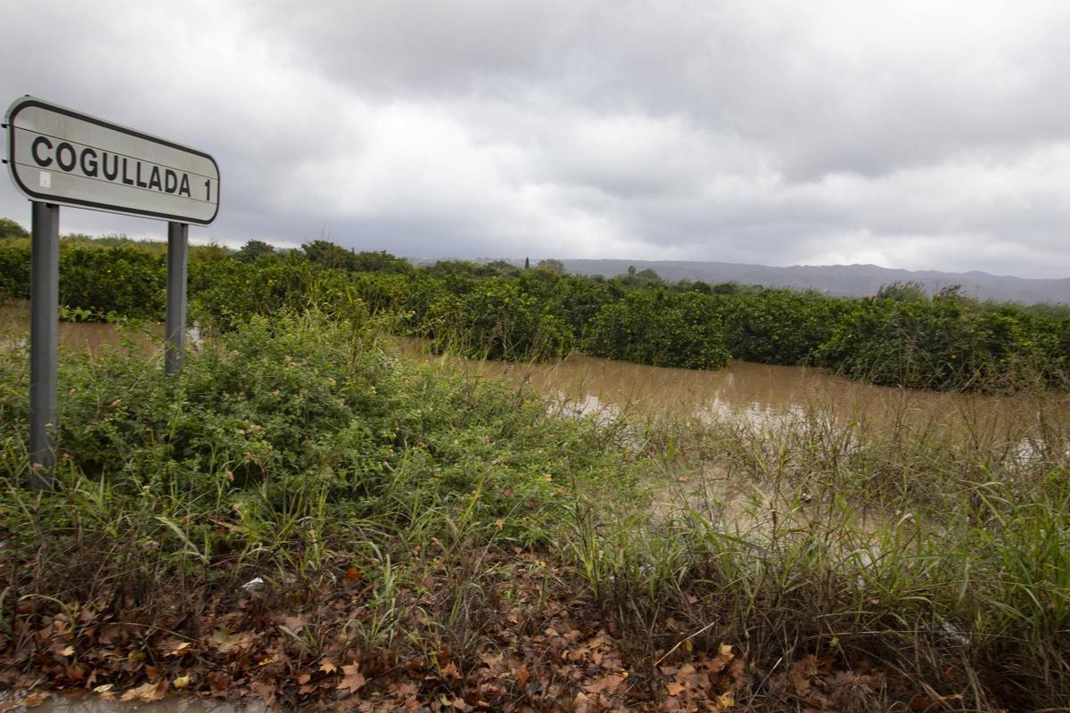 Inundació al voltant de Cogullada en una imatge d'arxiu.