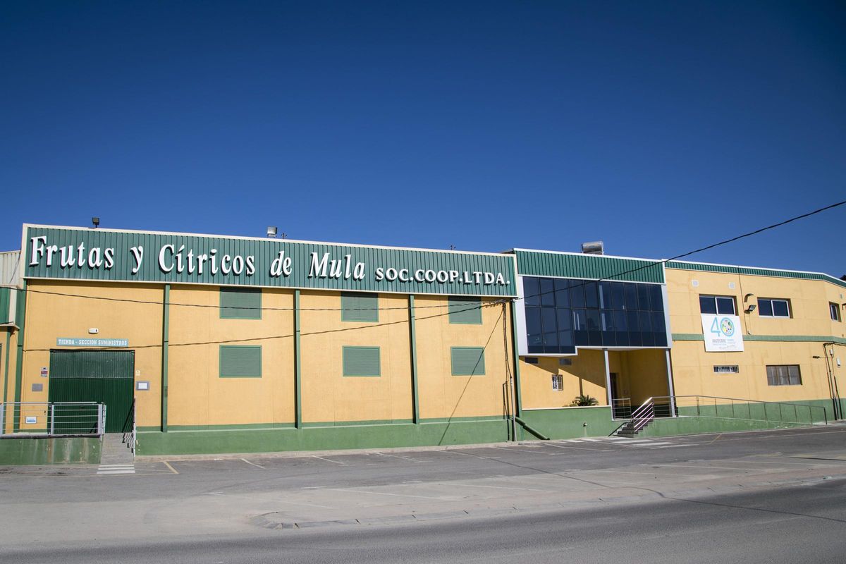 Frucimu fue fundada en Mula en el 1988, y cuenta en la actualidad con más de 700 socios.