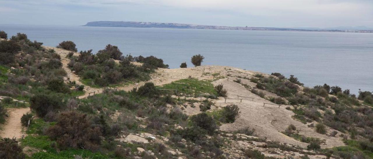 El Consell recorta a la mitad las hectáreas a proteger en el litoral