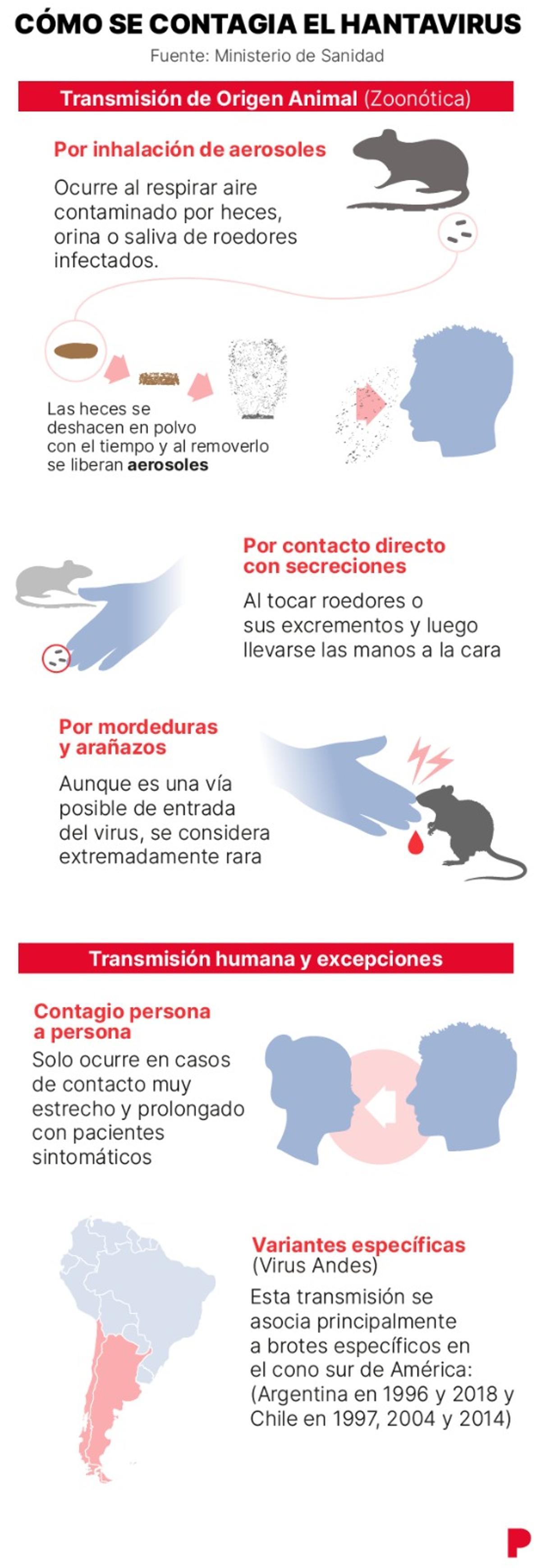 Gráfico que explica cómo se transmite el hantavirus.
