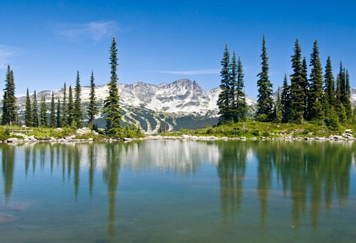 lago Harmony