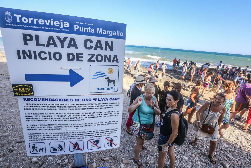 Docenas de usuarios de las playas acompañados de sus perros acudieron a Punta Margallo a pedir respeto y civismo en estos tramos litorales tras los "actos de sabotaje" de las señalizaciones