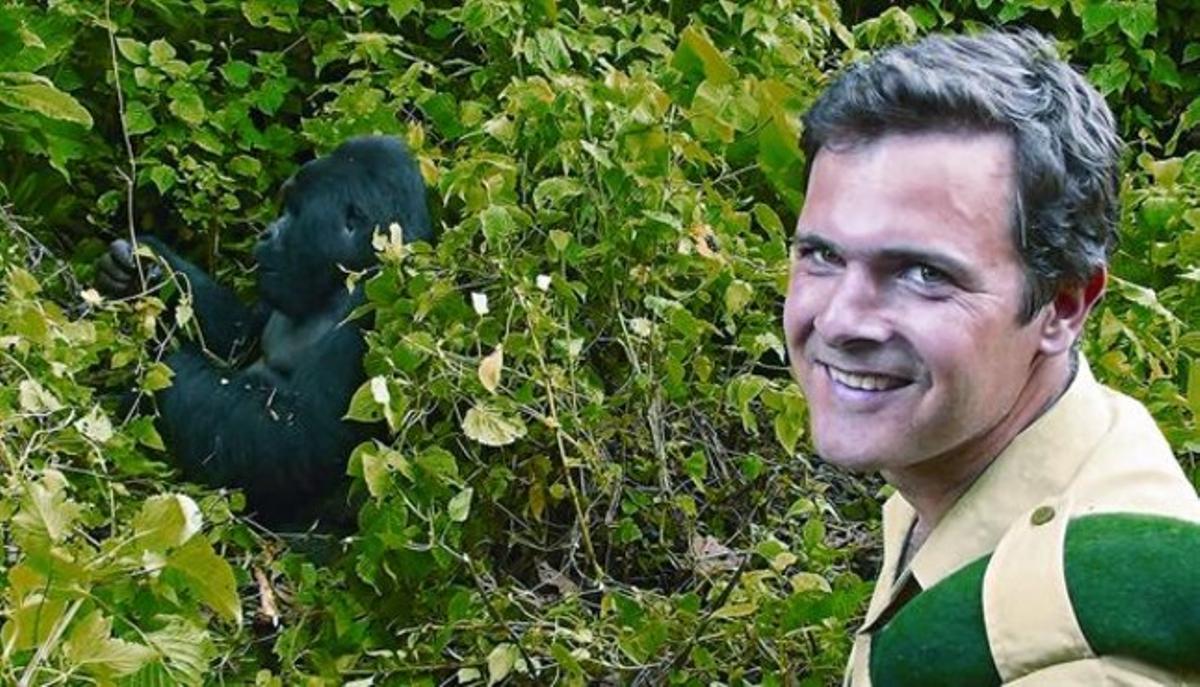 Emmanuel de Merode, davant d’un dels goril·les de muntanya.