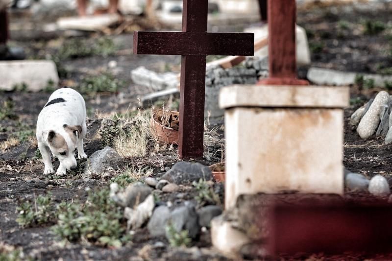 Reposición de cruces en el cementerio de San Andrés, en Santa Cruz de Tenerife.