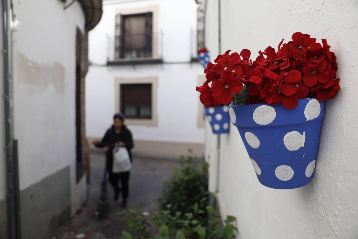 Guías turísticos y vecinos alertan de la invasión de flores de plástico en el casco histórico