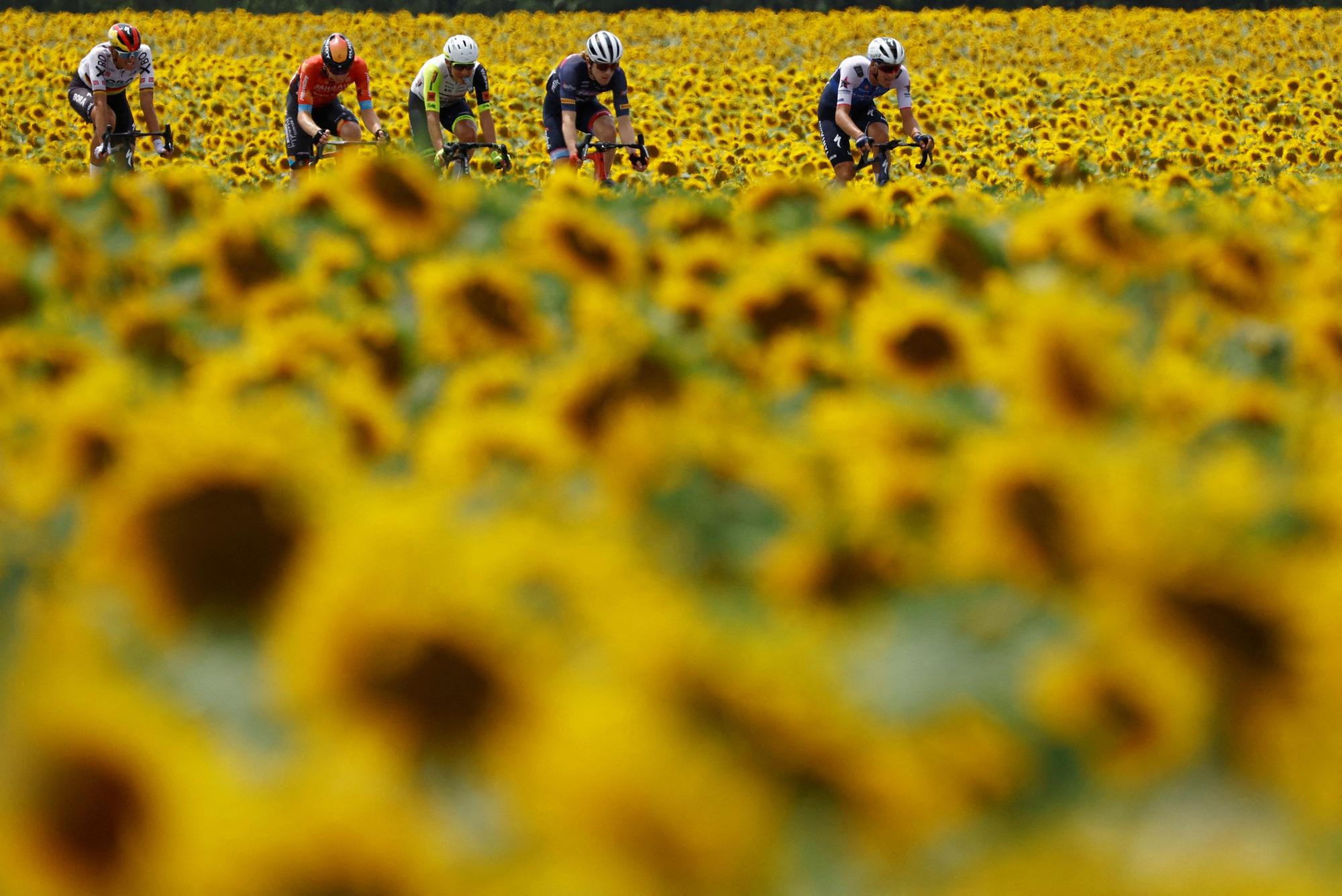 Tour de Francia | Etapa 19: Casntelnau-Magnoac - Cahors