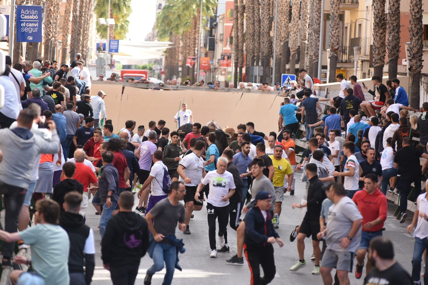 Las imágenes de la séptima jornada de las fiestas de Sant Pasqual del 2023 en Vila-real