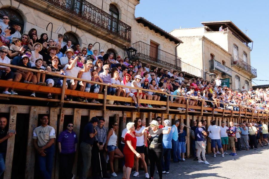 Fiestas en Zamora: Último encierro en Fermoselle