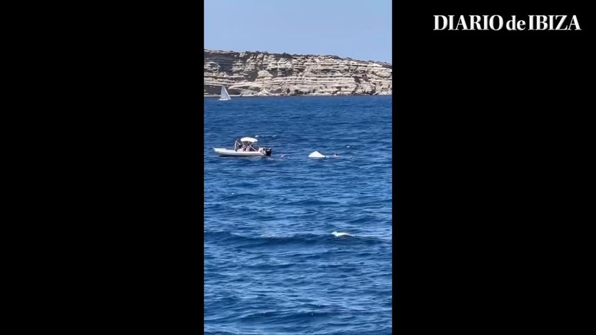 Vídeo: Una barca se hunde en cala Comte y otra embarcación de recreo rescata a sus ocupantes