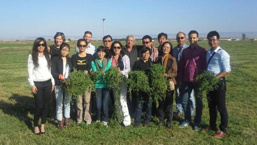 La alfalfa aragonesa llega a China