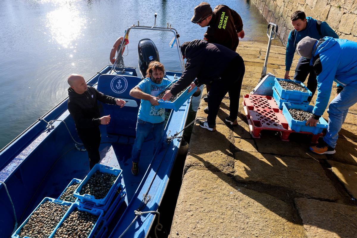 La devolución de la almeja al mar.