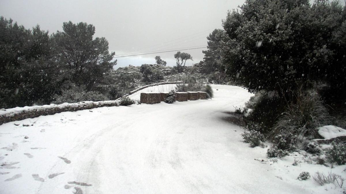 Las mejores imágenes de la nieve en la Serra de Tramuntana