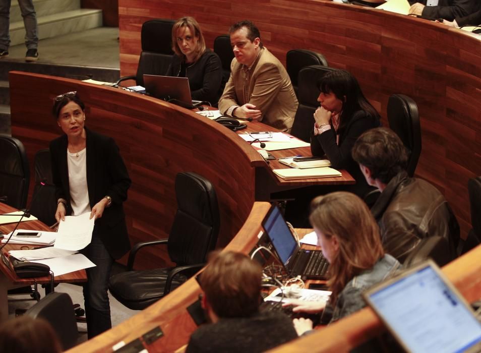 Pleno en la Junta General del Principado de Asturias
